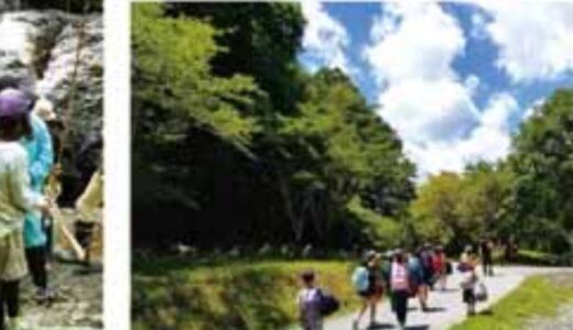 ネイチャーラボ参加募集のお知らせ